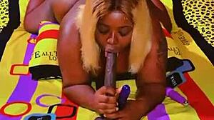 sundaydogood614 drops update 589 from november 3rd