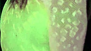 Post party closeup anal creampie prostitute pussy licked then asshole filled with cum monster cock