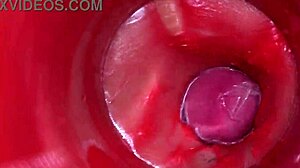 POV Camera Deep Inside Pussy for Massive Creampie ASMR