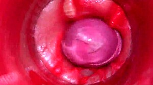 POV Camera Deep Inside Pussy for Massive Creampie ASMR