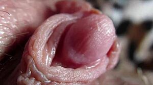 big clit throbs to orgasm up close 💦🔥