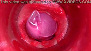 POV Camera Deep Inside Pussy for Massive Creampie ASMR