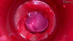 POV Camera Deep Inside Pussy for Massive Creampie ASMR