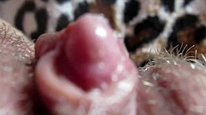 big clit throbs to orgasm up close 💦🔥