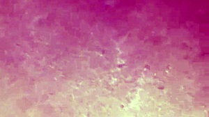 Amazing Amateur Candid Sandra Reveals Mature BBW Curves And Wet Pussy Masturbation In Hidden Home Video