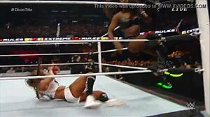 닉키 벨라 VS 나오미 익스트림 룰스 2015 완전 가오 🔥💥🤼‍♀️