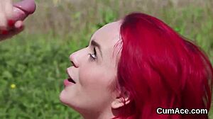 that feisty kitten slurps jizm then swaps cum after face bukkake blast