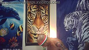 Ever wonder how maxxx loadz pounds that tight asian pussy behind porn shoot scenes?