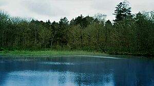 Wakasagihime Cosplay Lays Eggs in Pilot AV Footage