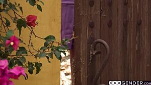 horny big tits fairy milf bunny colby rides shemale lena moon monster cock hard