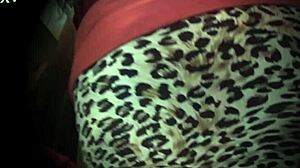 mi esposa morbosa muestra piernas y panties en un dia normal