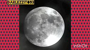 follando esposa transexual anal assfucking crossdressing!