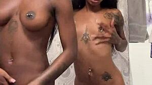 Shower Chronicles: Everyday Rinse and Refresh Moments Captured