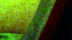 Mzslippery Bbw Shaved Pussy Masturbates in Mirror Closeup