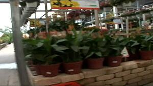 Wild Brunette Flashes Pierced Nipples And Shaved Pussy In Risky Public Nudity Dare