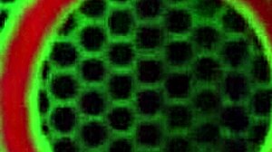 Milf Sara Jay Slams Pink Glass Dildo on Big Tits in Kitchen