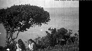 🌿 vintage hairy beavers nude in nature posing retro style 😍