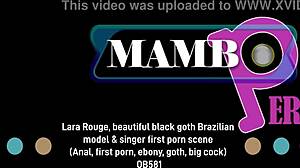 lara rouge goth brazilian first anal gaping big cock