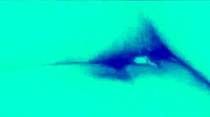 A homemade bad bitch sneaks into bed ready to share wild night