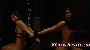 What if two bound Aussie 18+ sluts get extreme strap-on domination?