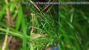 gostosa owes money no cash so pays with pussy in the woods 