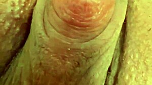 Cuck Watches Wife Orgasm from Live Stranger Fuck