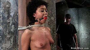hogtied ebony lesbians gagged choked riding sybian machines