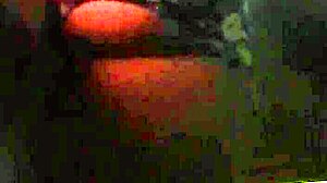 i told her movies but ended fucking her hard as girlfriend!