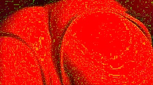 Close-Up Face-Down Pounding of Trans FTM Pussy