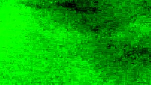 this morning i'm horny wet rubbing my huge clit solo