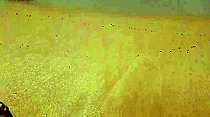 yuri gaucho wife struts her curves on nudist beach as crowd goes wild for every jiggle