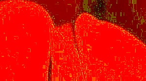 Close-Up Face-Down Pounding of Trans FTM Pussy