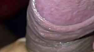 Stepsister adventure part 1 features big assets