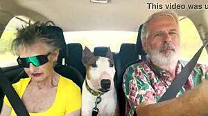 Milf Teases Sexual Secrets While Cruising East Oahu In Hot Car Casting Chat