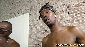 Stella cox double penetrated by massive black cocks