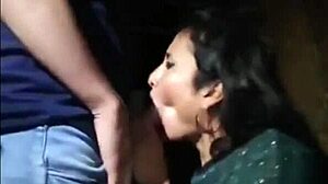 SHEMALE FROM INDIA GANGBANGED HARD ON TRAIN!