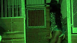 i went for a wild rodeo ride on that pretty black pussy and it felt amazin... off the charts!!