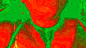 Exotic Colombian brunette flashes dildo pleasure face as pussy gets licked wildly