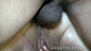 assfucked por meu namorado preto na cara do corno no casamento... que delícia de facial