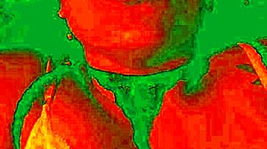 Exotic Colombian brunette flashes dildo pleasure face as pussy gets licked wildly