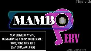 sexy brazilian nymph bianca dantas takes 6 cocks double anal 3 bbc 3 bwc then all 6 dap huge gapes