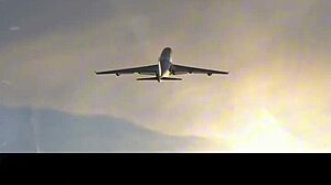 bolt jones takes 18yo angel ferraz to brazil's top nudist beach viral vibes