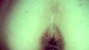 black bull's sexy bunny ray gets ravished in homemade heat