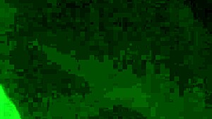 Ewa Kwenczynska's European Charm Captivates