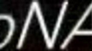 doll mummified in latex catsuit bondage OUTDOOR public rubber play