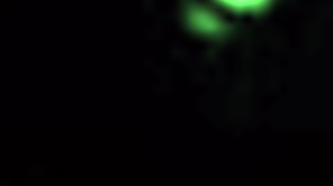 maid flashes her curves then takes charge on that throbbing dick