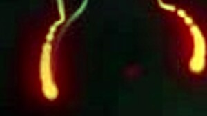 she seduced me... my step sister-in-law turns out she's a total lesbian craving pussy!!