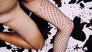 wanna watch this erotic milf wife spread legs in fishnets?