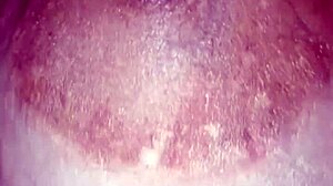 colombian stepsis wakes from nap for hard fuck