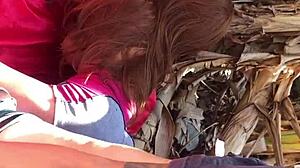 inteada vadia de quatro dando cu com sex toy putinha